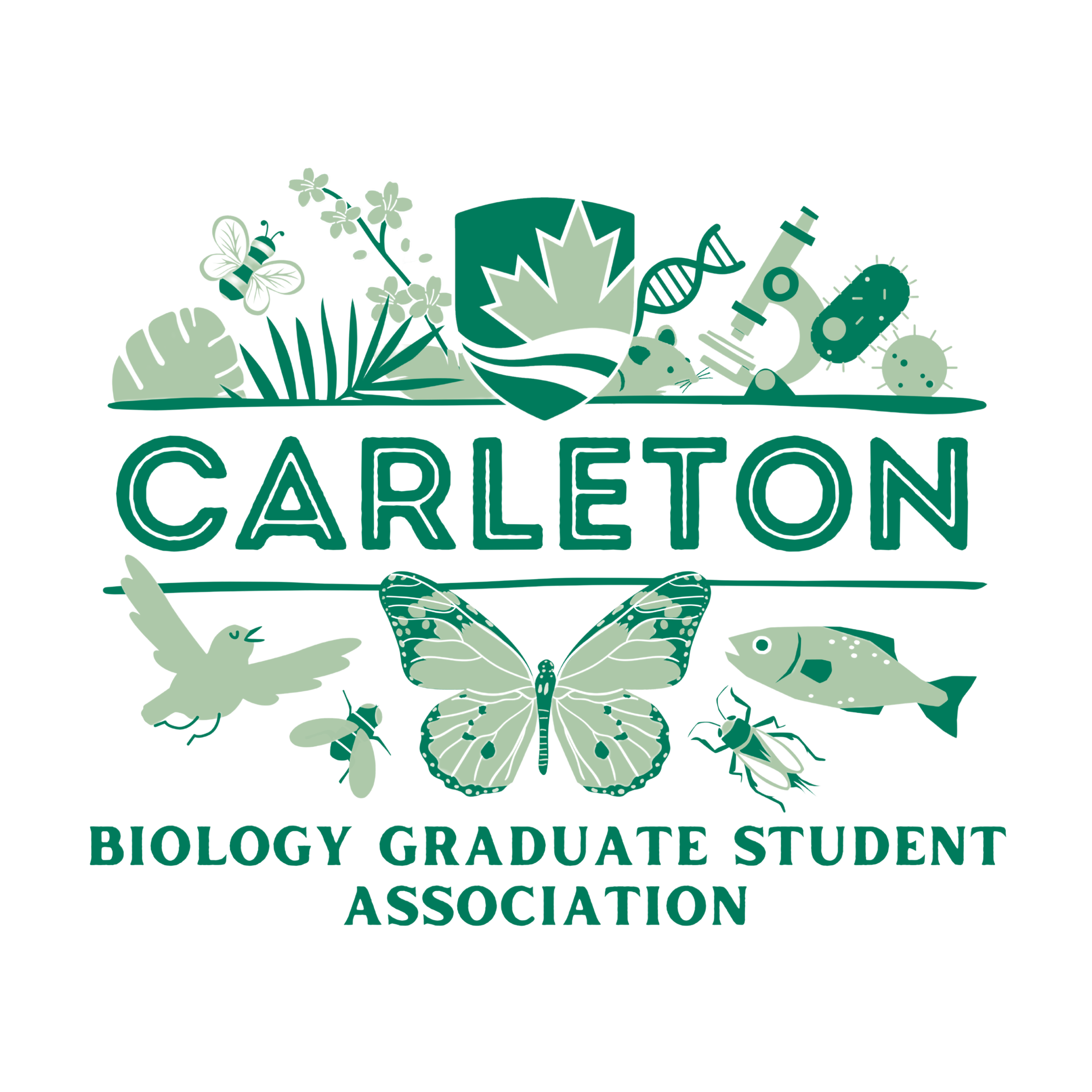 BGSA Carleton University