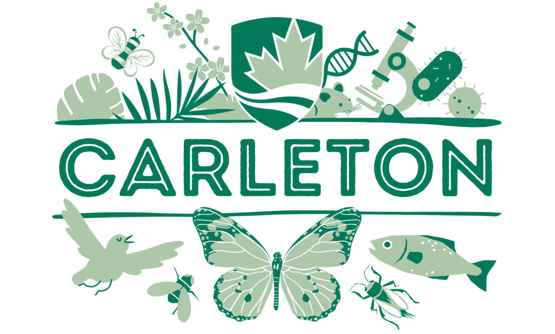 BGSA Carleton University